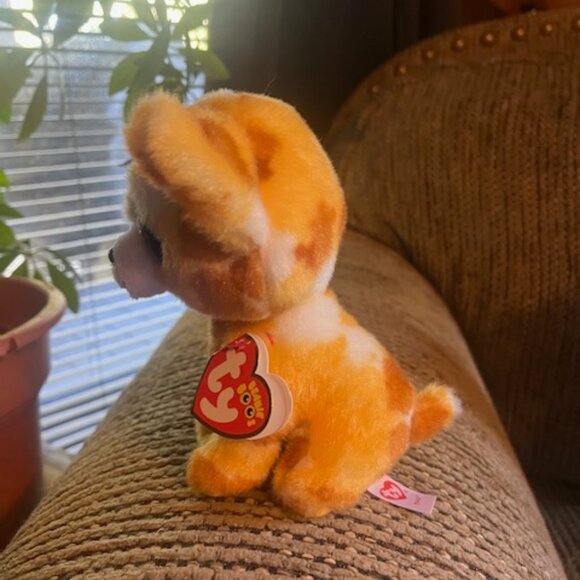 TY Beanie Boos Pablo the Chihuahua - Picture 3 of 4